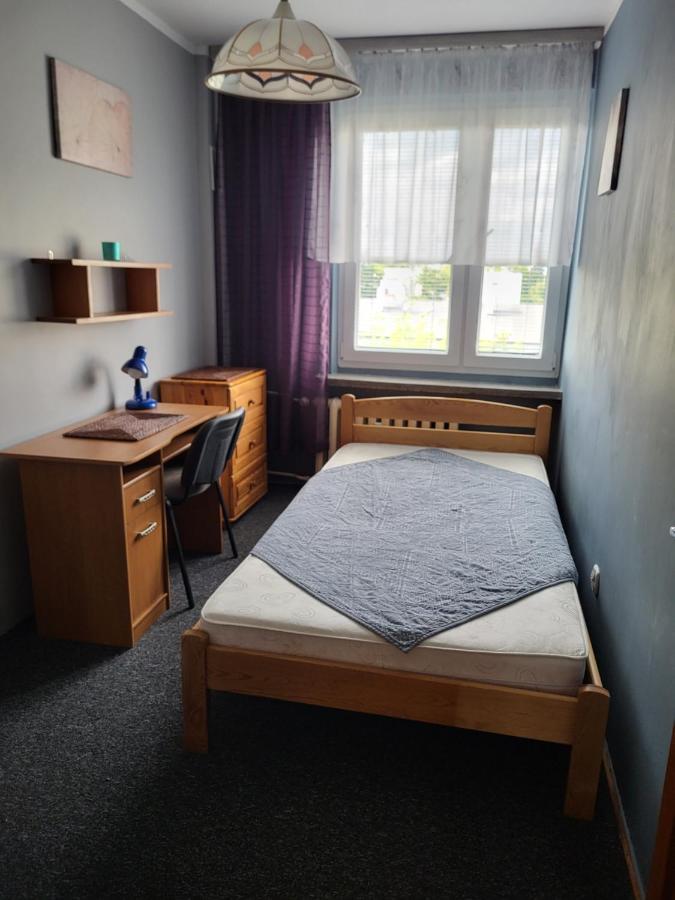 Apartament Sosnowy Z Parkingiem Торунь Экстерьер фото